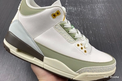3 Elegant 4843 DX6660- Retro Jordan 380 0727